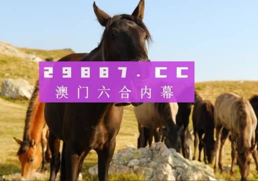 香港和澳门管家婆一肖一码一中一开|精选解析解释落实