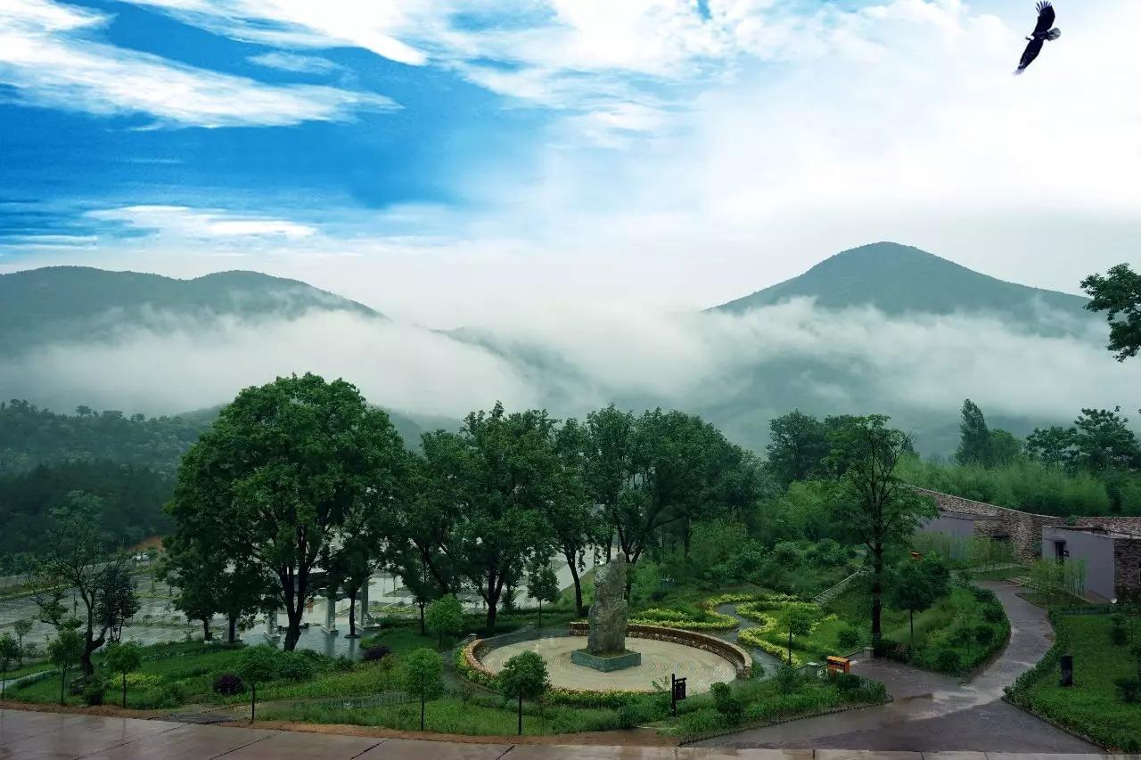 江苏天地同源生物科技有限公司，探索生物科技的前沿