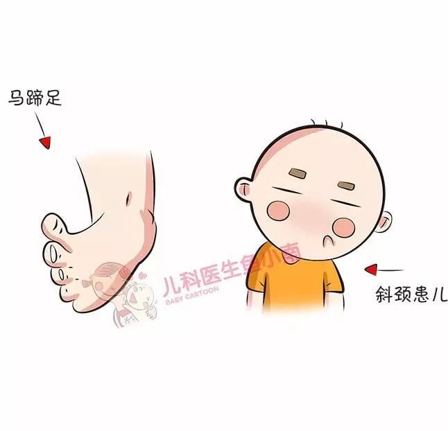 关于两个月宝宝腿纹不对称的观察与理解