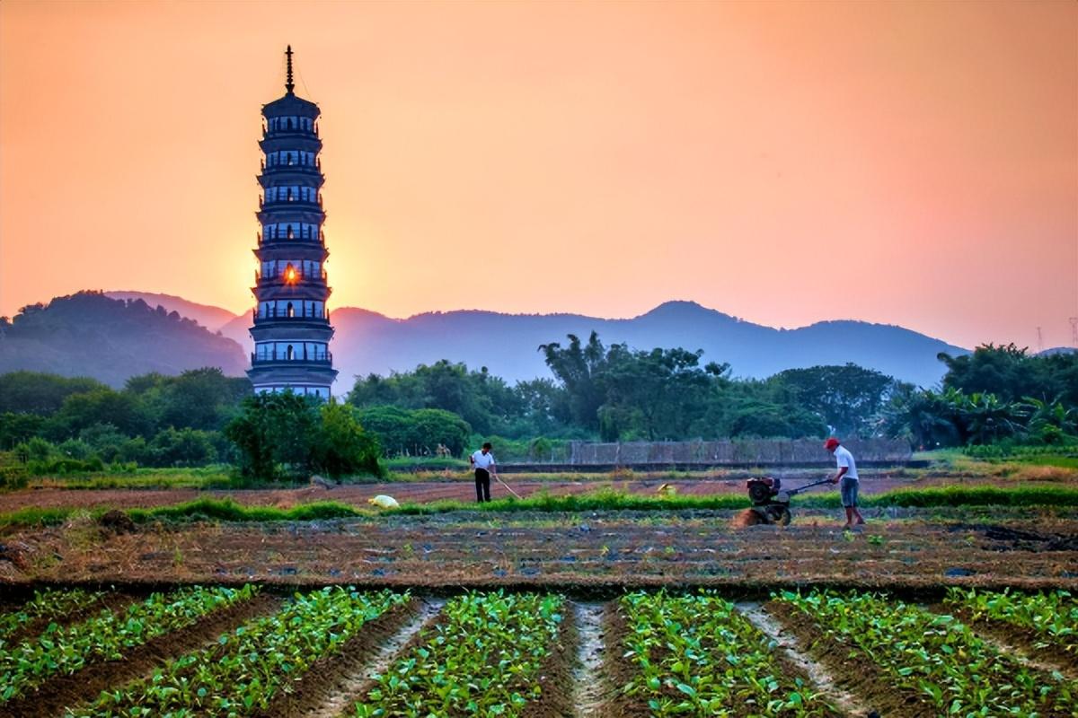 广东芳香食品有限公司，一家传统与现代融合的食品企业