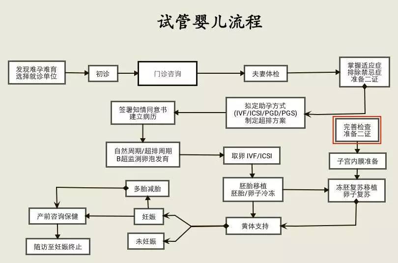 关于取卵后两个月移植流程的长篇文章