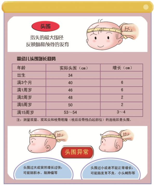 关于宝宝头围的奥秘，十个月大的宝宝头围达到48的探究