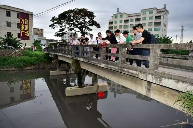 广东省督察组地址，一道展现政府力量与责任的亮丽风景线