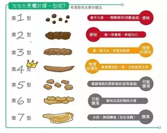 关于八个月宝宝大便次数的观察与理解