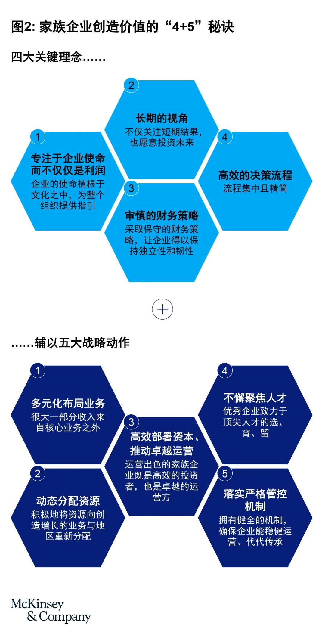 广东圣域有限公司，一家卓越企业的成长与发展