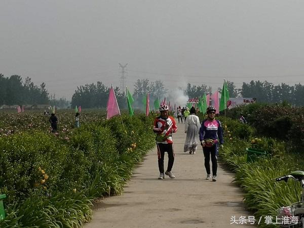 江苏科技大学花墙，一道美丽的风景线