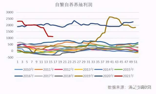 肉猪的出栏时间与农业生产、市场需求等诸多因素息息相关。一般来说，肉猪的出栏时间因品种、饲养环境、饲养管理等因素而异。以下就肉猪几个月出栏这一主题展开长篇论述。