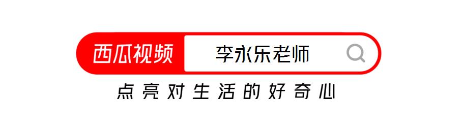 在八个月的时间里，我深入探索与学习了诸多领域的知识，感受到了生活的丰富多彩与不断求知的乐趣。以下是我这段时间的所见所感，以长篇文章的形式呈现。