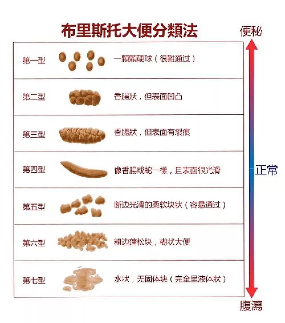 新生儿两个月大便次数，观察与理解