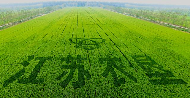 江苏联垦科技公司，科技引领农业新时代